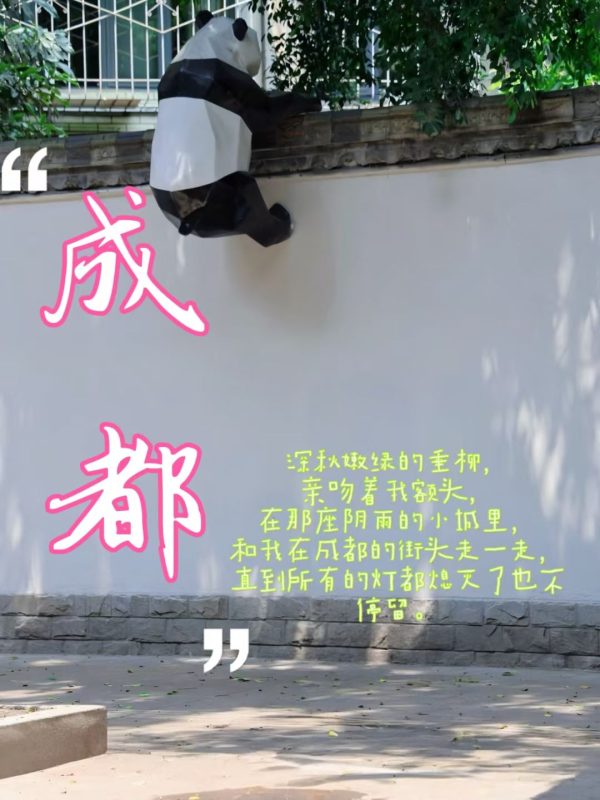 和我在成都的街头走一走，直到所有的灯都熄灭了也不停留-神否